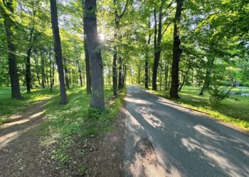 Dofinansowanie na rewitalizację parku w Opolnie Zdroju