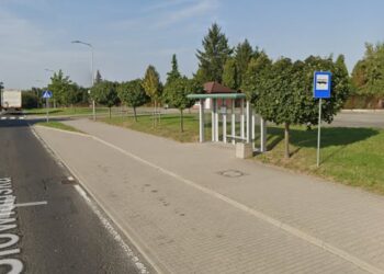 Będą nowe kursy w kierunku cmentarza? Miasto przedstawiło swoje plany po interpelacji radnej
