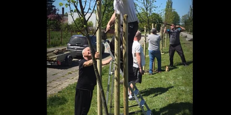 Zgorzeleccy pszczelarze wzięli spawy w swoje ręce. „Razem dla naszych lip”