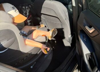 Pies spędził kilkadziesiąt minut w rozgrzanym aucie – niestety nie przeżył. Policja apeluje o szczególną rozwagę podczas upałów