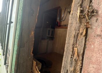 44-latek odpowie za włamanie do budynku na terenie ogrodów działkowych