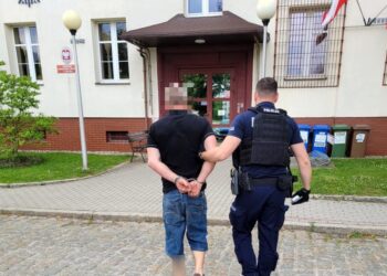 45-latek zatrzymany za przemoc domową. Na posesji policjanci znaleźli plantację konopi
