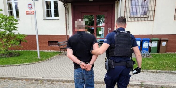 45-latek zatrzymany za przemoc domową. Na posesji policjanci znaleźli plantację konopi