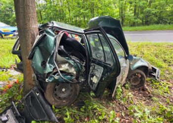 Groźny wypadek na DW296 między Węglińcem a Czerwoną Wodą. Volkswagen uderzył w drzewo, kierowca trafił do szpitala