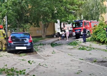 Silny wiatr dał się we znaki. Powalone drzewa uszkodziły samochód i dom