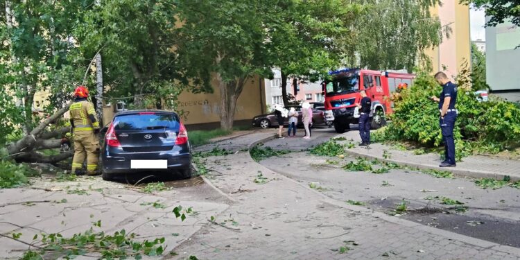 Silny wiatr dał się we znaki. Powalone drzewa uszkodziły samochód i dom