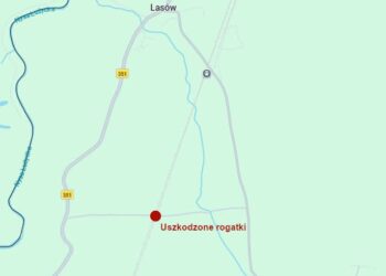 PILNE! Uszkodzone rogatki na przejeździe kolejowym