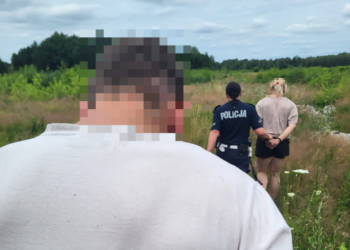 Zgorzelec: Była pod wpływem narkotyków, nie miała prawa jazdy i uciekała przed policją. Finał w polu kukurydzy