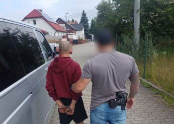 Tankował i odjeżdżał bez płacenia. 32-latek zatrzymany za kradzież paliwa