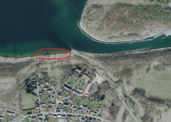 Pies dotkliwie pogryzł dziecko nad Berzdorfer See – poszukiwani świadkowie