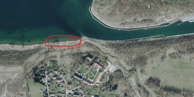Pies dotkliwie pogryzł dziecko nad Berzdorfer See – poszukiwani świadkowie