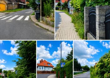 Straż Miejska w Bogatyni zapowiada kontrole. Właściciele posesji muszą uporządkować zieleń