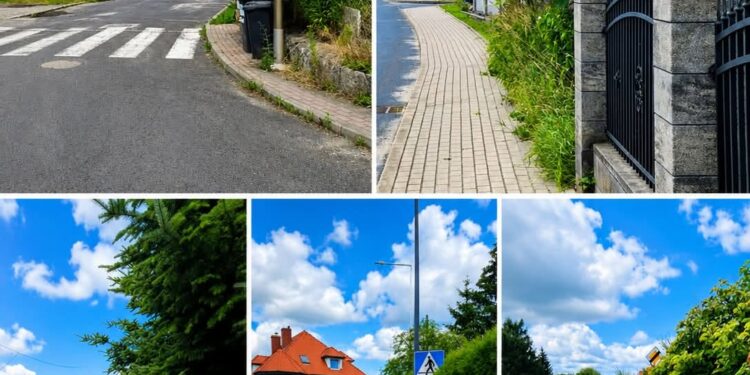 Straż Miejska w Bogatyni zapowiada kontrole. Właściciele posesji muszą uporządkować zieleń