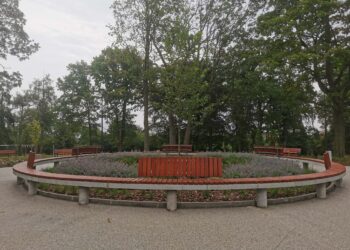 Koniec remontu „Grzybka” w Parku Paderewskiego. Inwestycja kosztowała ponad 3,1 mln zł