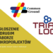 Związek Miast Mały Trójkąt ogłasza drugi nabór mikroprojektów