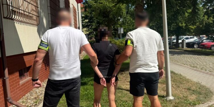 Para w rękach policji. Podejrzani o kradzież sprzętu do pracy na wysokościach i wyposażenie mieszkania