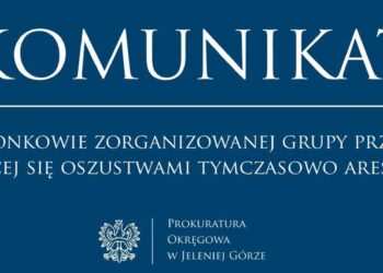 Dwaj członkowie zorganizowanej grupy przestępczej zajmującej się oszustwami tymczasowo aresztowani