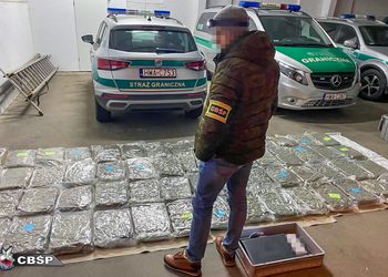 70 kg marihuany w ciężarówce ze szparagami. Akcja CBŚP i Straży Granicznej w Jędrzychowicach