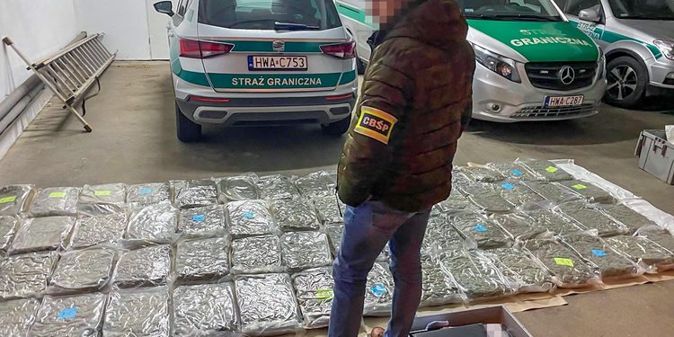 70 kg marihuany w ciężarówce ze szparagami. Akcja CBŚP i Straży Granicznej w Jędrzychowicach