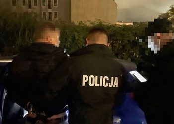 Kradli auta azjatyckich marek-zostali zatrzymani podczas wspólnych działań policjantów i strażników granicznych