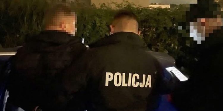 Kradli auta azjatyckich marek-zostali zatrzymani podczas wspólnych działań policjantów i strażników granicznych