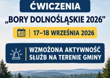 Wzmożona aktywność służb w Węglińcu i Starym Węglińcu. To będą ćwiczenia