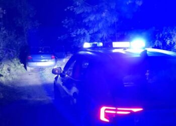 Bez uprawnień, z narkotykami i tablicami od innego pojazdu. Mieszkance powiatu zgorzeleckiego grozi teraz kilka lat więzienia