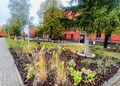 SOSW w Zgorzelcu z Zieloną Strefą Relaksu i Edukacji