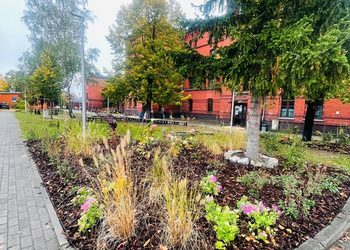 SOSW w Zgorzelcu z Zieloną Strefą Relaksu i Edukacji