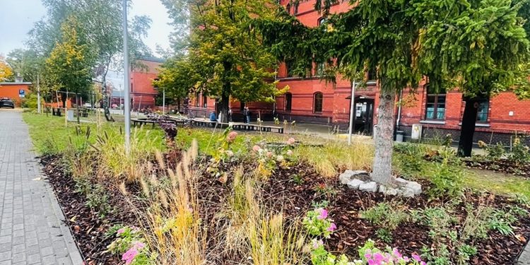 SOSW w Zgorzelcu z Zieloną Strefą Relaksu i Edukacji